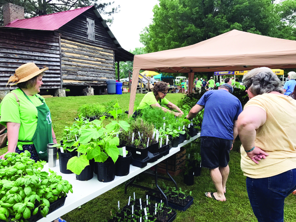 Master Gardeners annual plant sale is Saturday