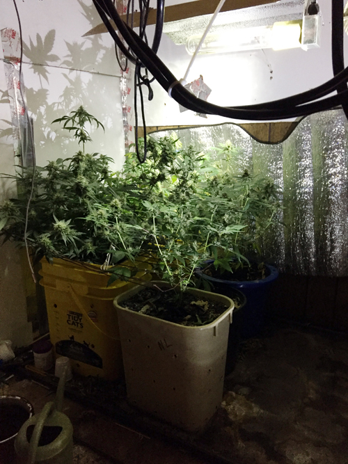 Nash County couple arrested for drugs and moonshine production