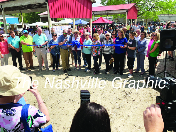 Nashville Farmers Market pics