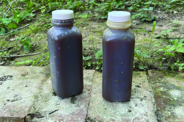 Violations cited at water treatment plant