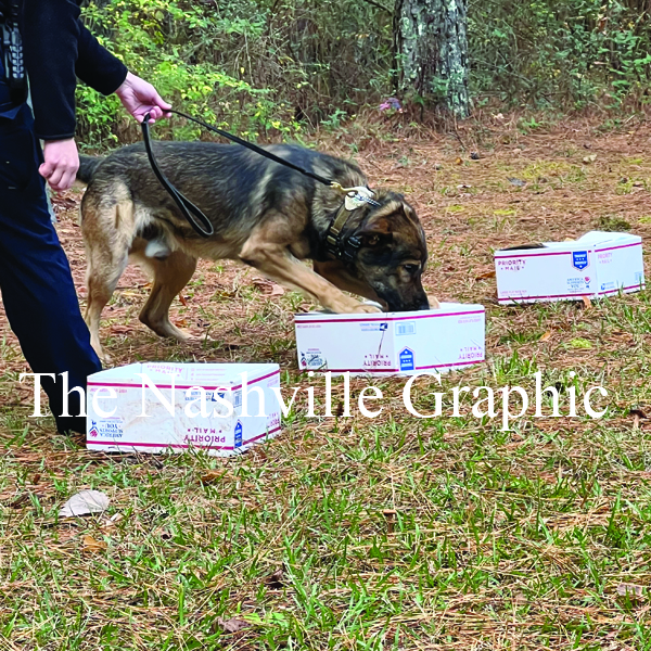 K9 