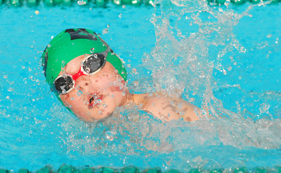Birchwood Edged By Westridge