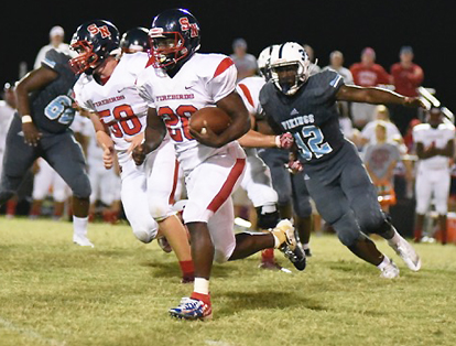 Cooley Stars For Birds