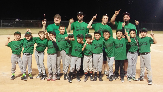 GREAT JOB BY THE GREEN MONSTERS