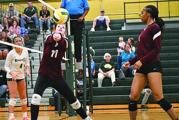 Bulldogs Making Their Move