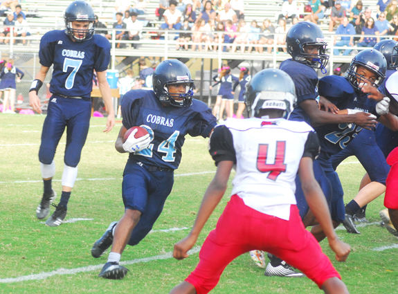 Cobras Nab Grid Title