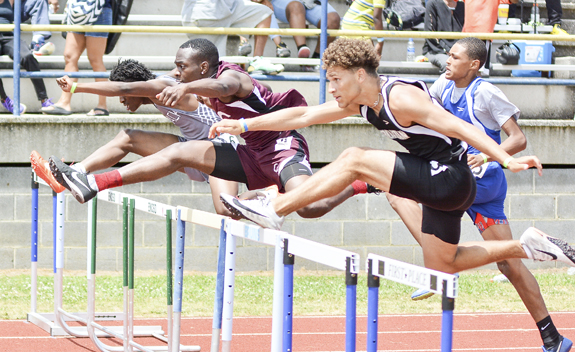 HAWKINS IN THE HURDLES