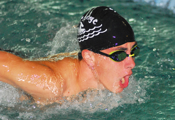 MORE SWIMMING STARS, 2