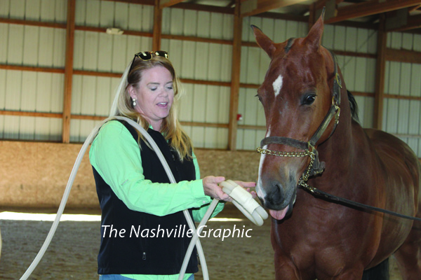 Nash County hosts annual horse farm tour