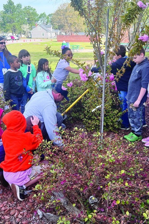 Students plant tree, pinwheels to honor classmate 