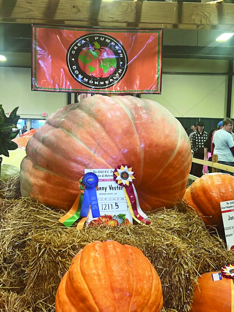 Vester's pumpkins pick up big wins at fair, festival